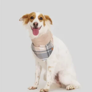 Coleção Laços de FAMÍLIA – Bandana PET