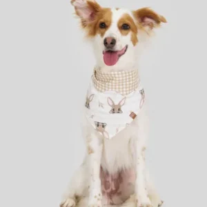 Coleção Doce Conexão - Tal Mãe Tal Filha(o) - Bandana PET